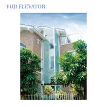 FUJI Manufacturer Cheap small home villa house lift elevator chair lift for home use